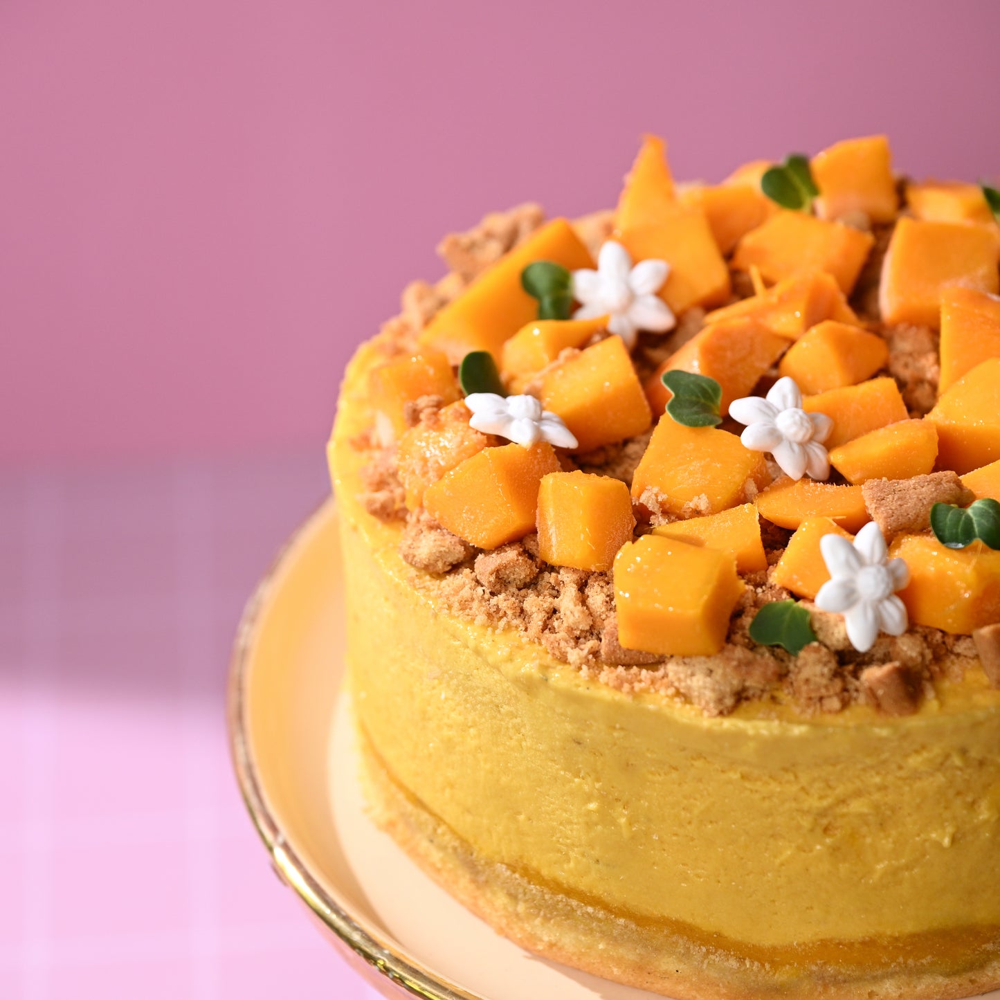 Mango Mousse Cake