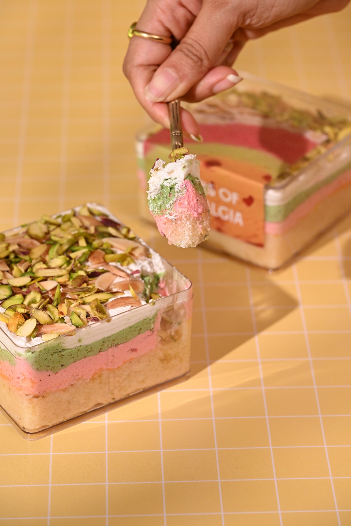 Cassata Dabba Cake