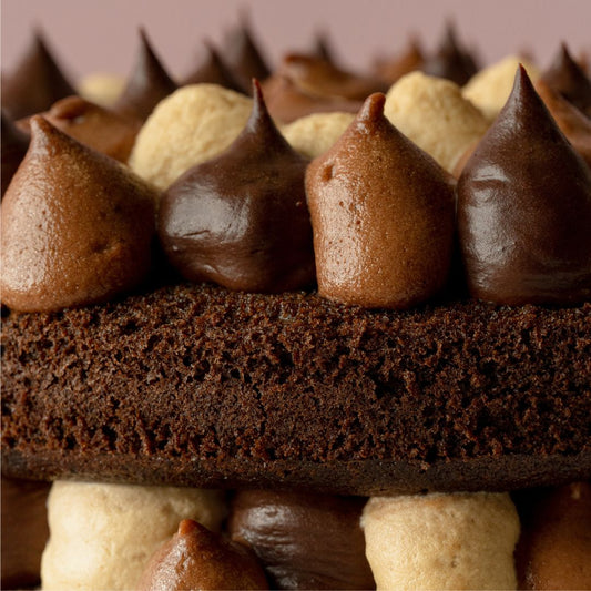 Mocha Truffle Cake