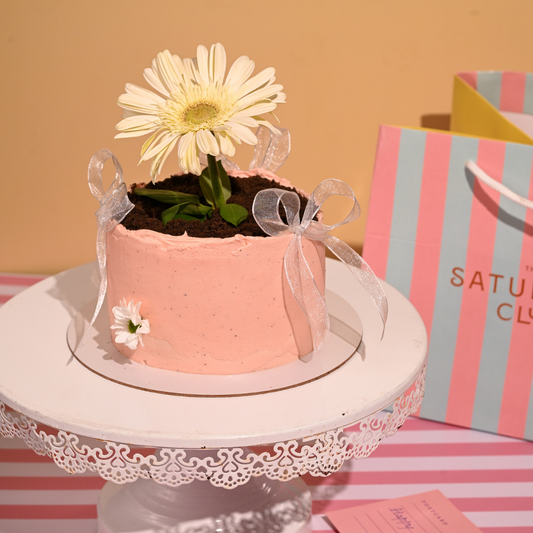 Celebration Cake